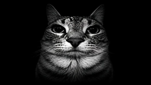 kffpattern