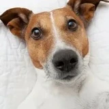 Жанна Сушко