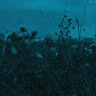 rjkgdf